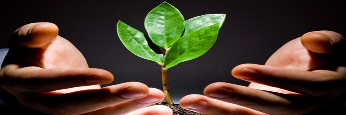 GESTÃO DA PRODUÇÃO E GESTÃO AMBIENTAL