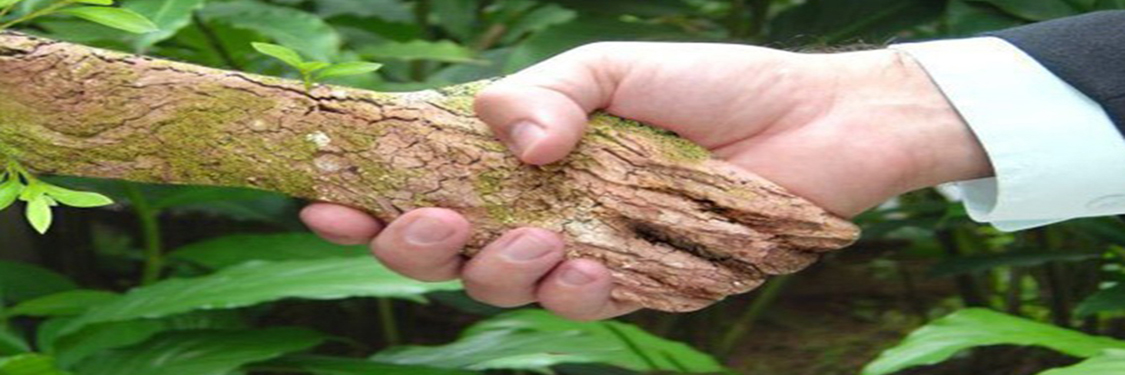 CIÊNCIAS AMBIENTAIS E ANÁLISE AMBIENTAL